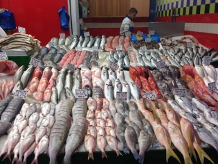 Sam convinced me to buy salmon, sea bass, and mackerel. She bought 2 kilos of shrimp, sea bream, and salmon.