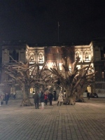 Ai Weiwei tree installation at the Royal Academy of Arts.